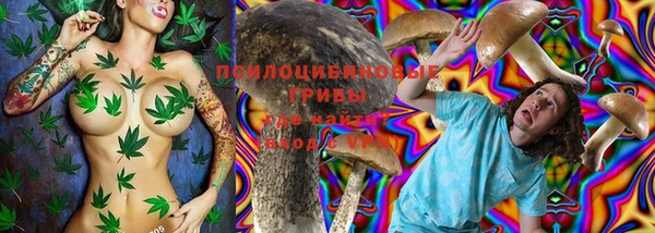МДПВ Беломорск