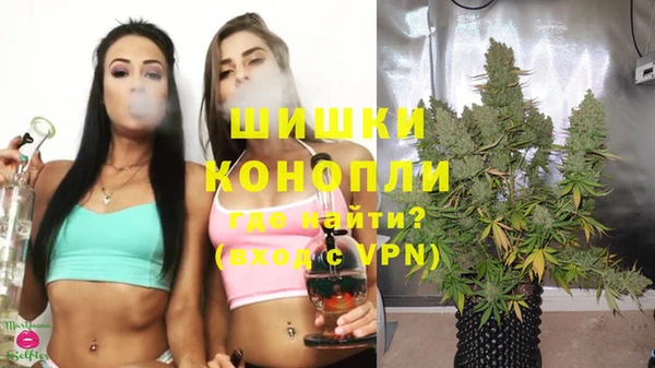 ALPHA-PVP Белокуриха