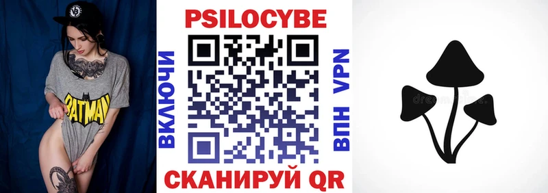 Галлюциногенные грибы Psilocybe Советская Гавань